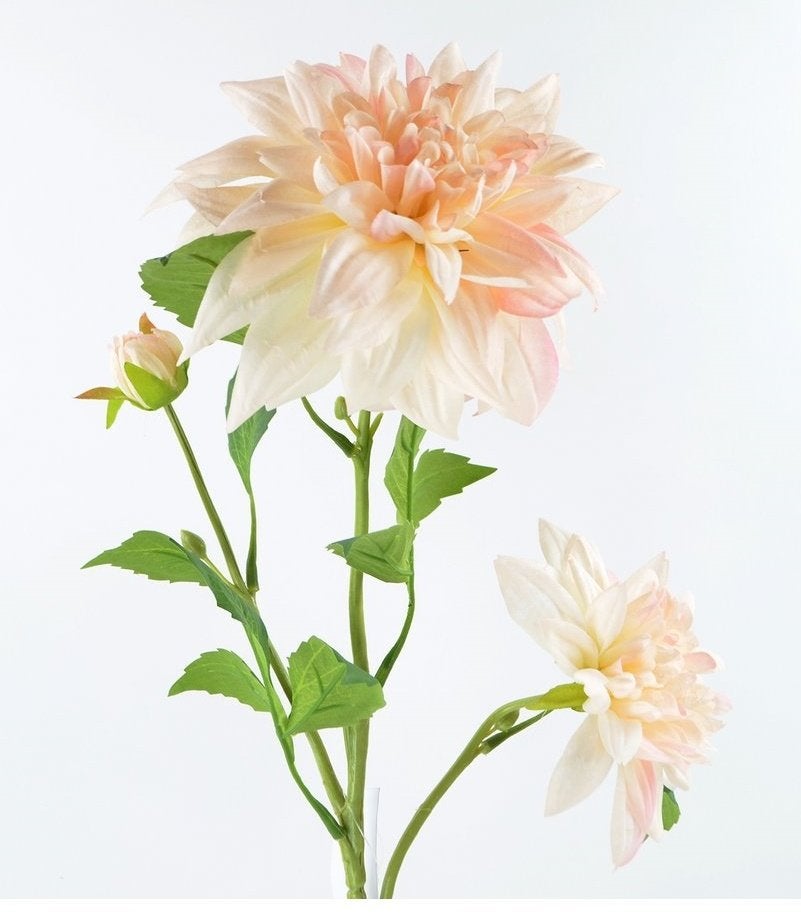 OPRUIMING -DAHLIA - KUNST NU VOOR 2,50