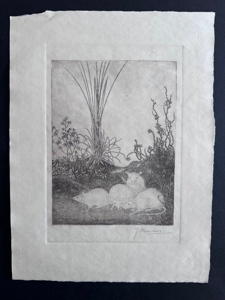 Jan Mankes viermuizen ets, Antiek en Kunst, Kunst | Etsen en Gravures, Verzenden