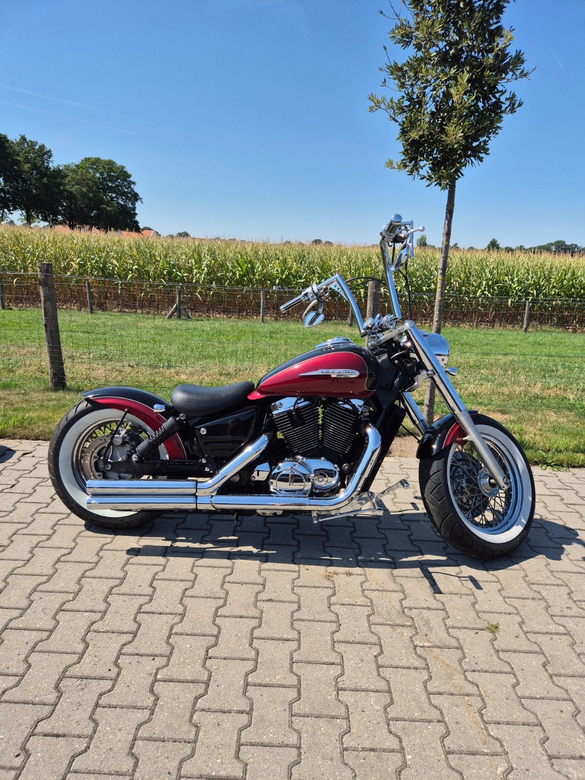 Honda Shadow VT1100 C3 - Custom Bobber Stijl, 2 cilinders, Occasion, LED Verlichting, Chopper