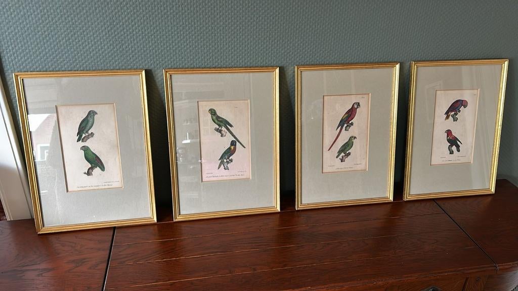 4 schilderijen van vogels, Ophalen of Verzenden