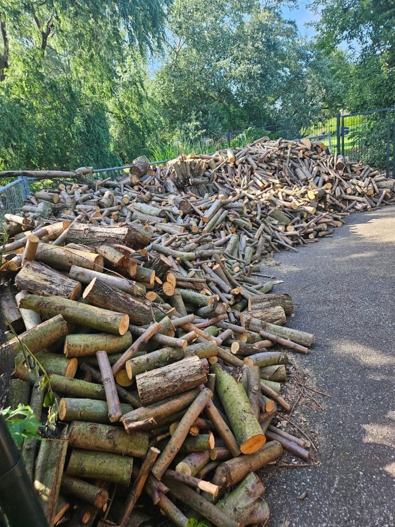 Openhaardhout, Tuin en Terras, Haardhout, 6 m³ of meer, Ophalen, Essenhout, Takken