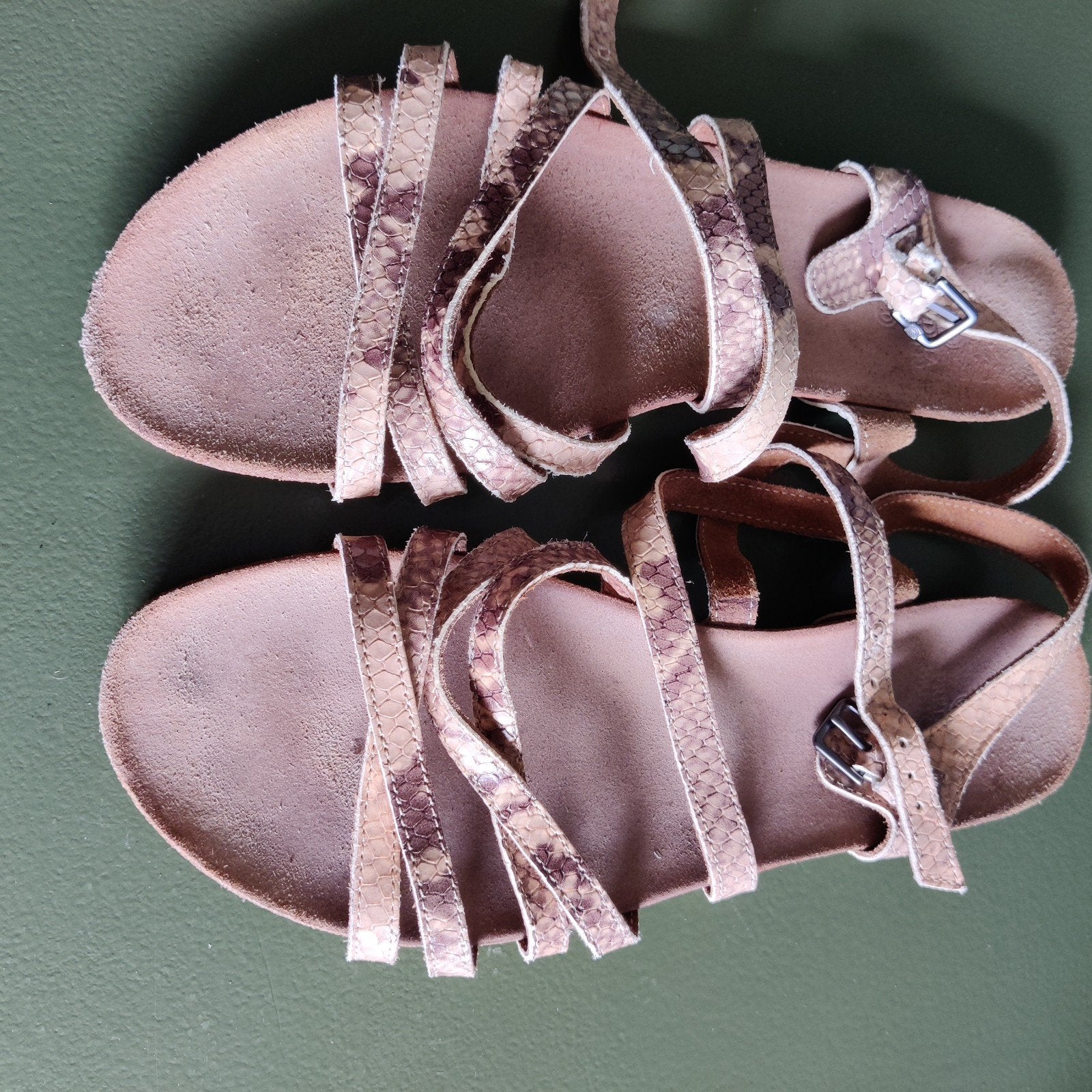 Fred de la Bretoniere sandalen met slangenprint, maat 40, Kleding | Dames, Schoenen, Fred de la Bretoniere, Overige kleuren, Gedragen
