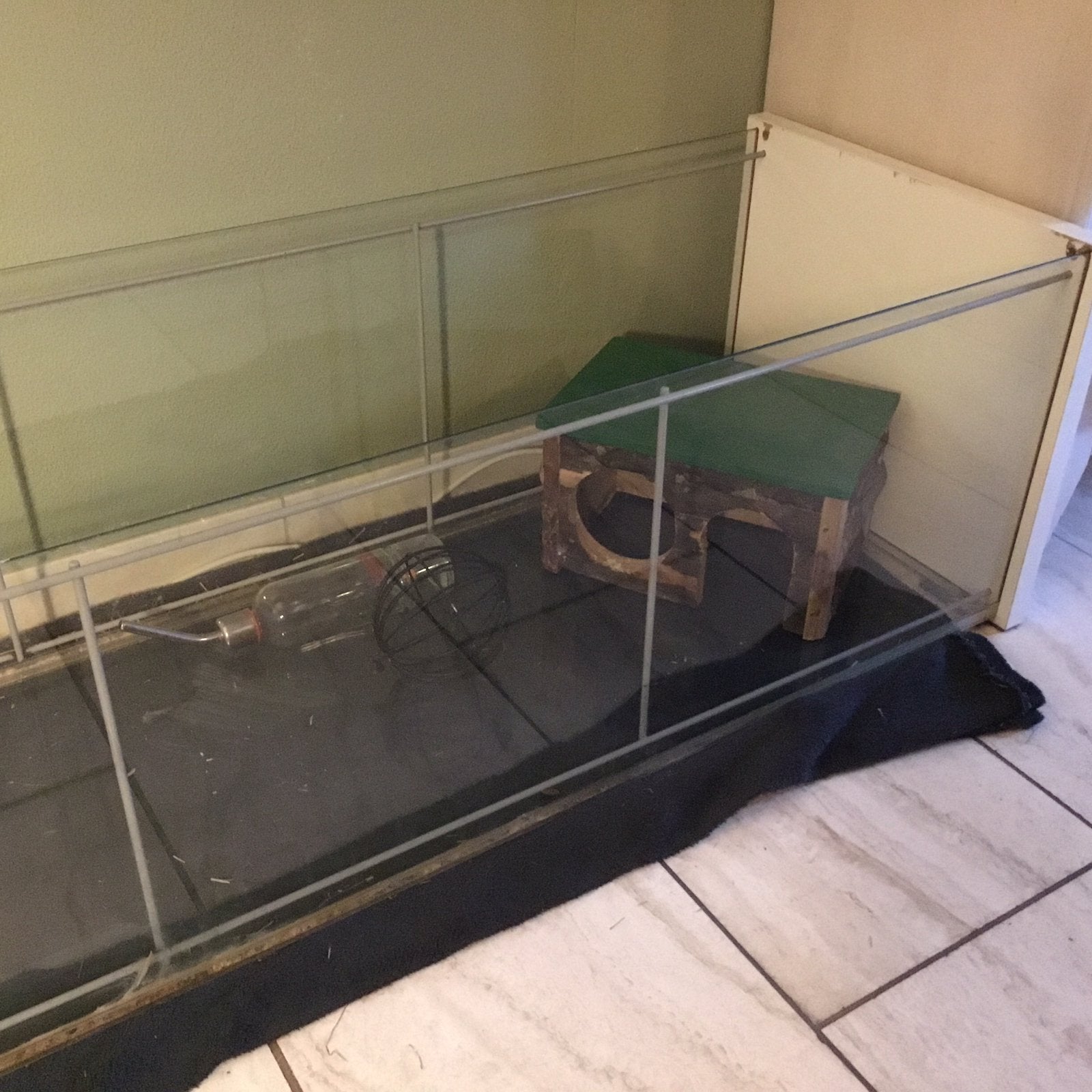 Glazen knaagdierenkooi, Dieren en Toebehoren, Knaagdieren en Konijnen | Hokken en Kooien, Kooi, Cavia, Ophalen, Minder dan 60 cm