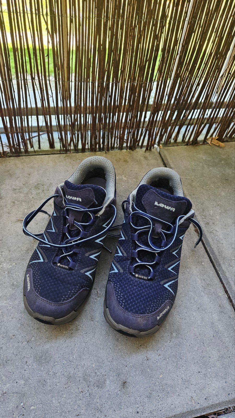 Wandelschoenen Lowa maat 39, Ophalen, Gebruikt, Schoenen