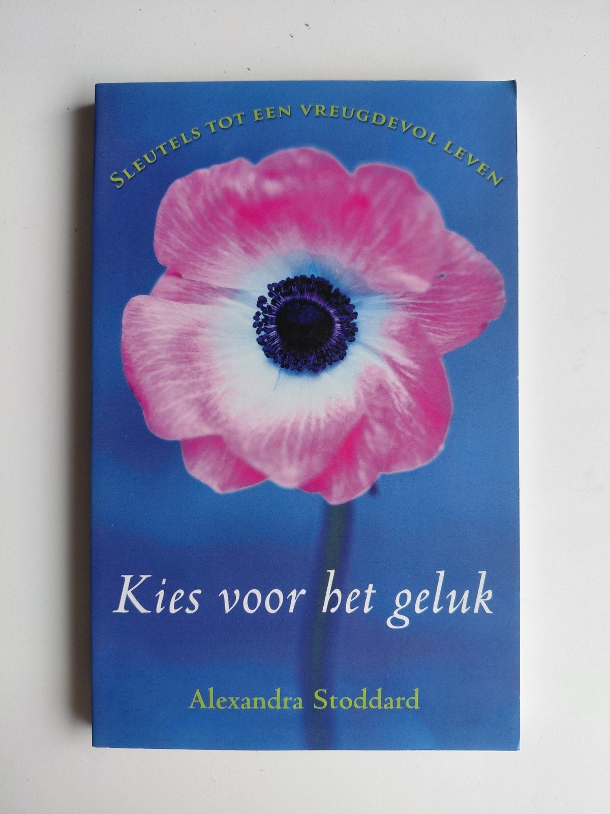 A. Stoddard - Kies voor het geluk, Boeken, Ophalen of Verzenden, Zo goed als nieuw, A. Stoddard