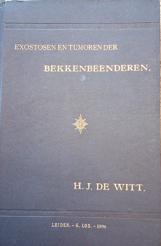 Proefschrift en foto's - Dr. H.J. de Witt uit Moordrecht, Antiek en Kunst, Ophalen of Verzenden, H.J. de Witt