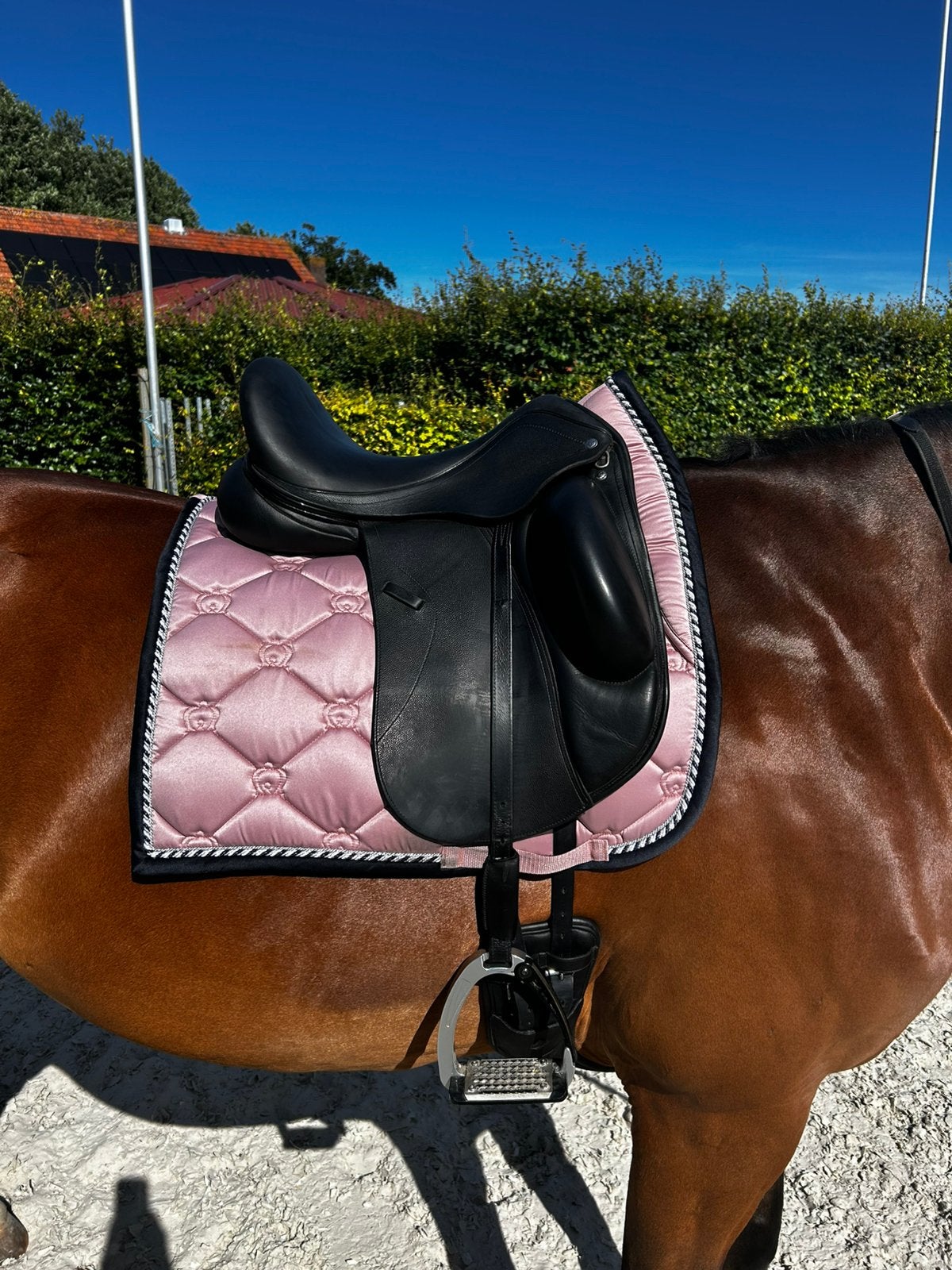 Custom Advantage R zadel, Dressuur, Kniewrongen, M (17 inch), Diepe zit