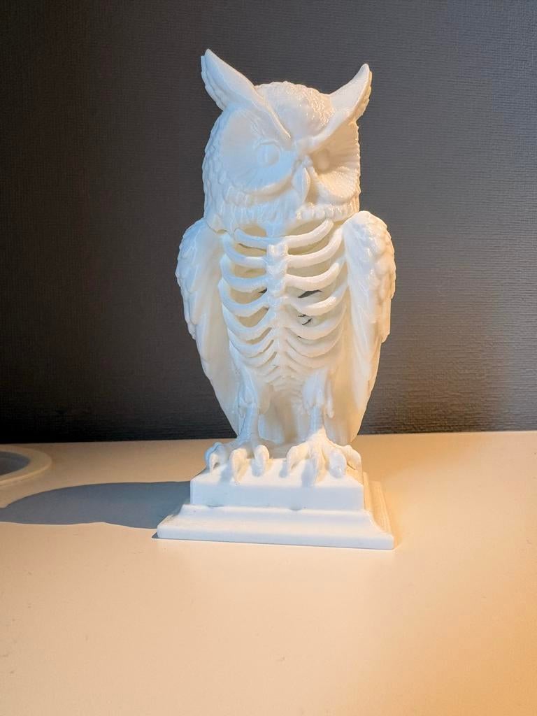 3D Geprint Uil Beeldje, Nieuw, Kunststof, Ophalen of Verzenden, Modern