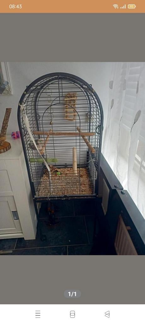 Vogelkooi, Ophalen, Metaal, Vogelkooi