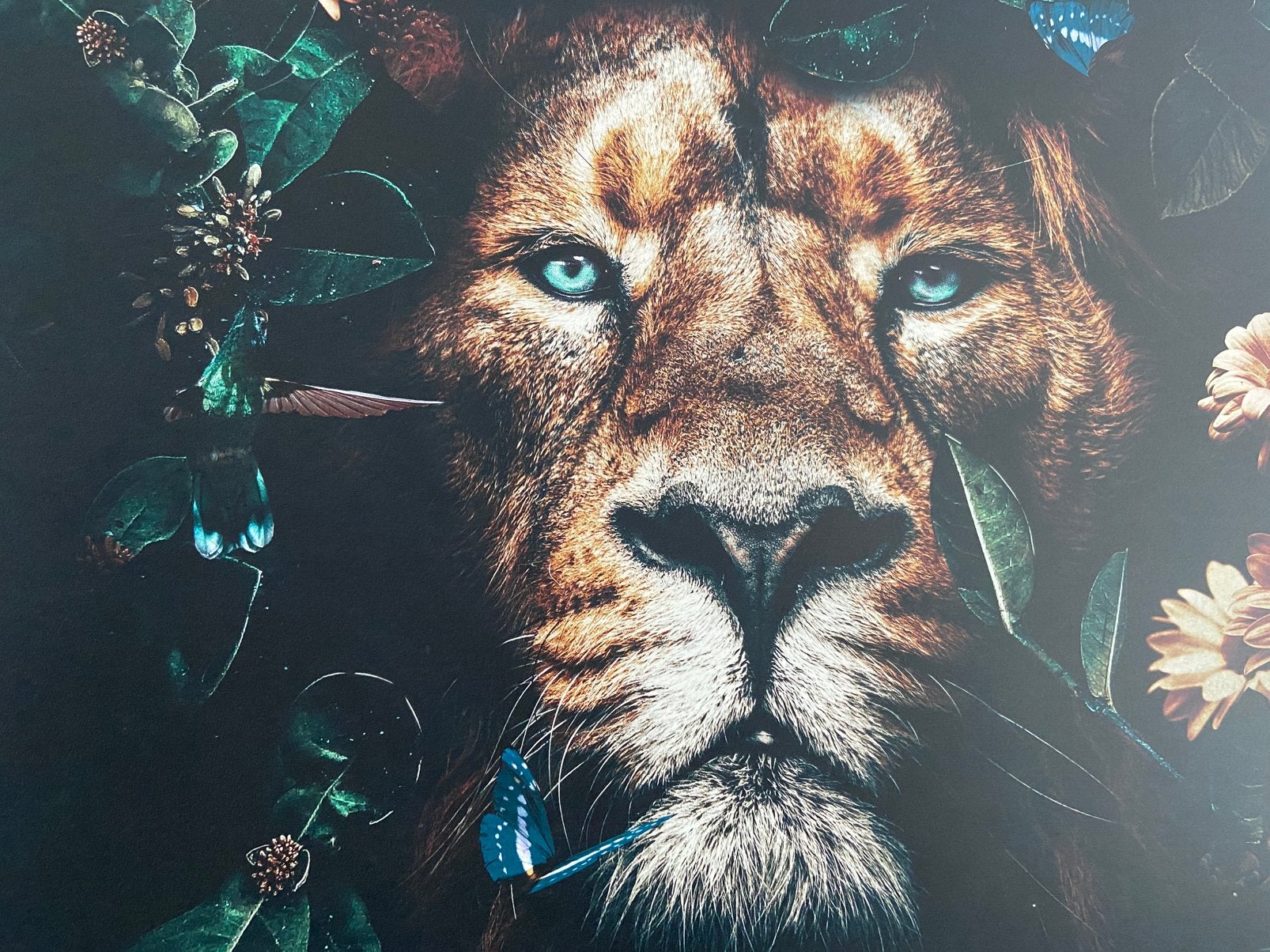Canvas doek 150 x 100cm, Ophalen