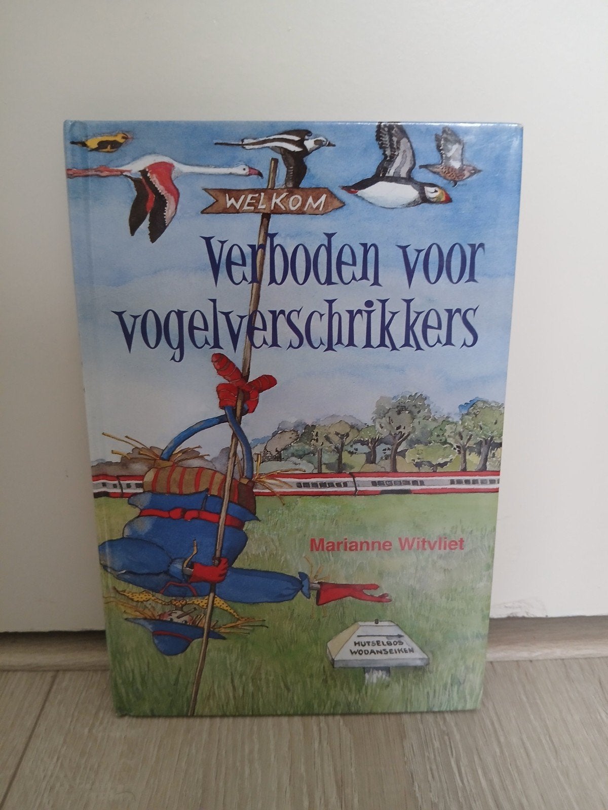 Marianne Witvliet - Verboden voor vogelverschrikkers, Boeken, Ophalen, Zo goed als nieuw, Marianne Witvliet