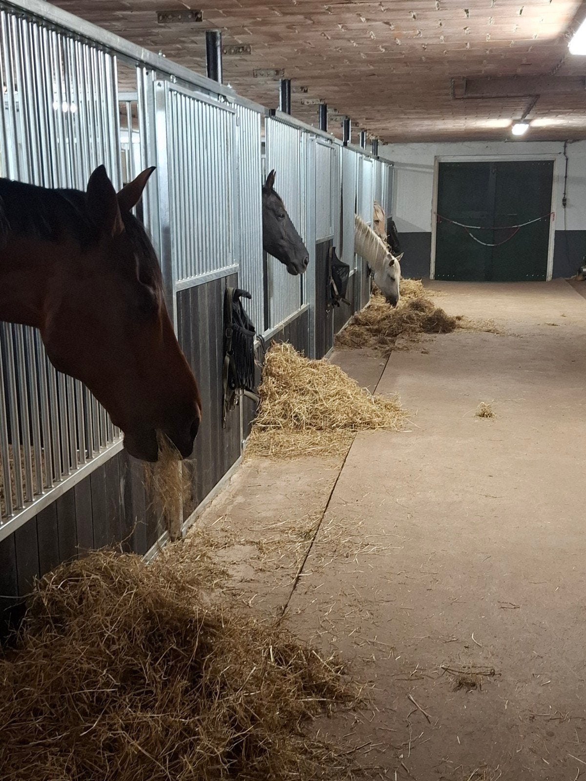 Rusthuis, paarden met pensioen., Dieren en Toebehoren