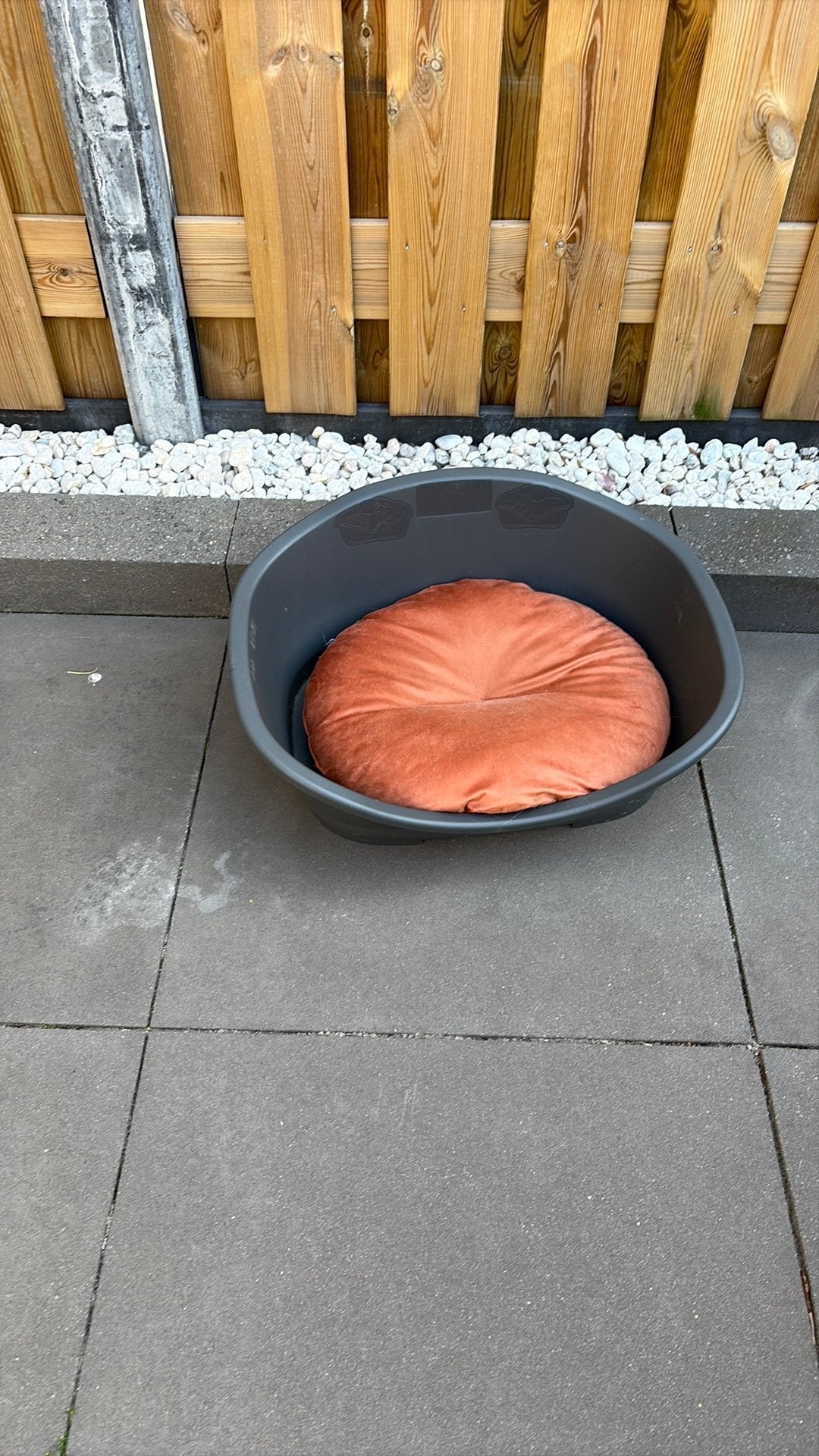 Katten mand met kussen, Dieren en Toebehoren, Kattenmanden, Ophalen of Verzenden, Gebruikt, Riet
