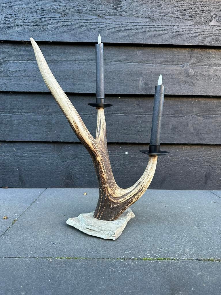 Mooie gewei kandelaar gemaakt van edelhert gewei stang., Ophalen of Verzenden, Nieuw, Overige materialen, 25 tot 50 cm