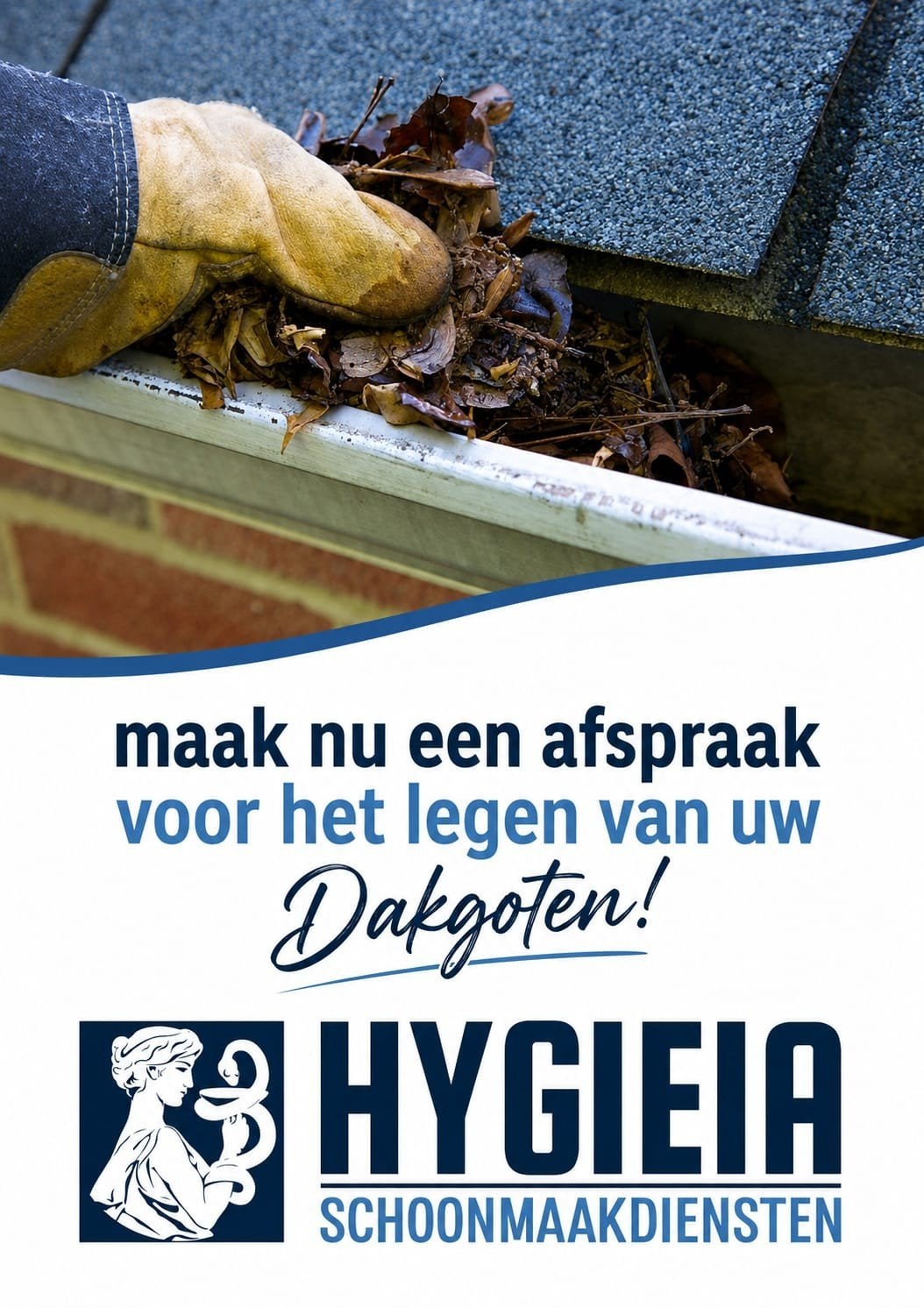 Laat uw dakgoten legen!, Ophalen