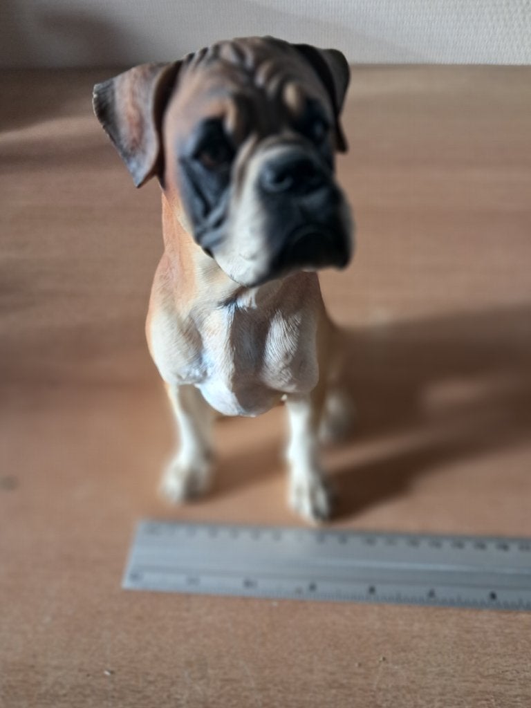 honden beelden mooi groot beeld boxer, Verzamelen, Ophalen of Verzenden, Zo goed als nieuw, Dier