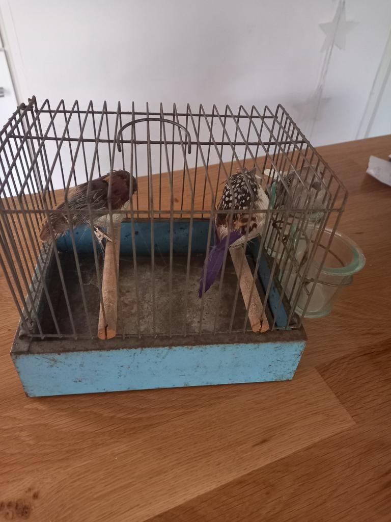 Brocante vogelhuisje, Ophalen of Verzenden