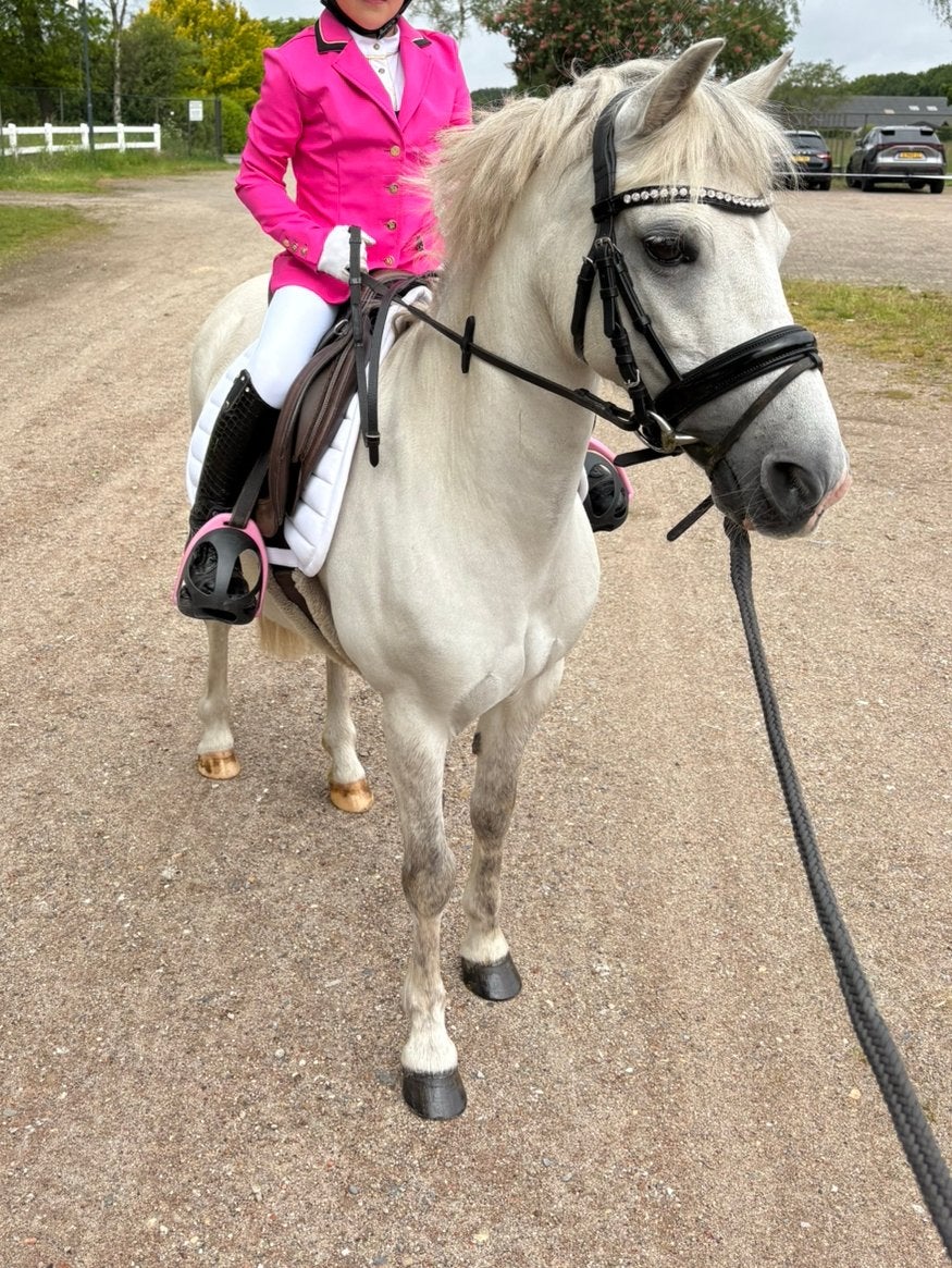 Lieve en betrouwbare kinderpony (a-pony), Merrie