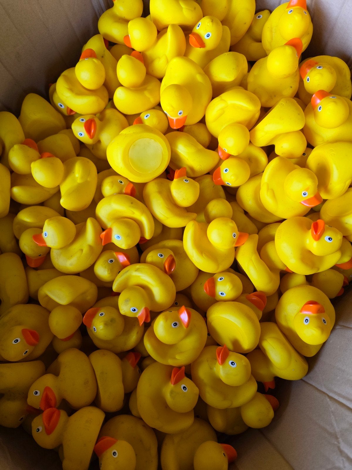 Partij van 3000 badeendjes - Ideaal voor evenementen!, Ophalen, Zo goed als nieuw, Badeend, Overige merken