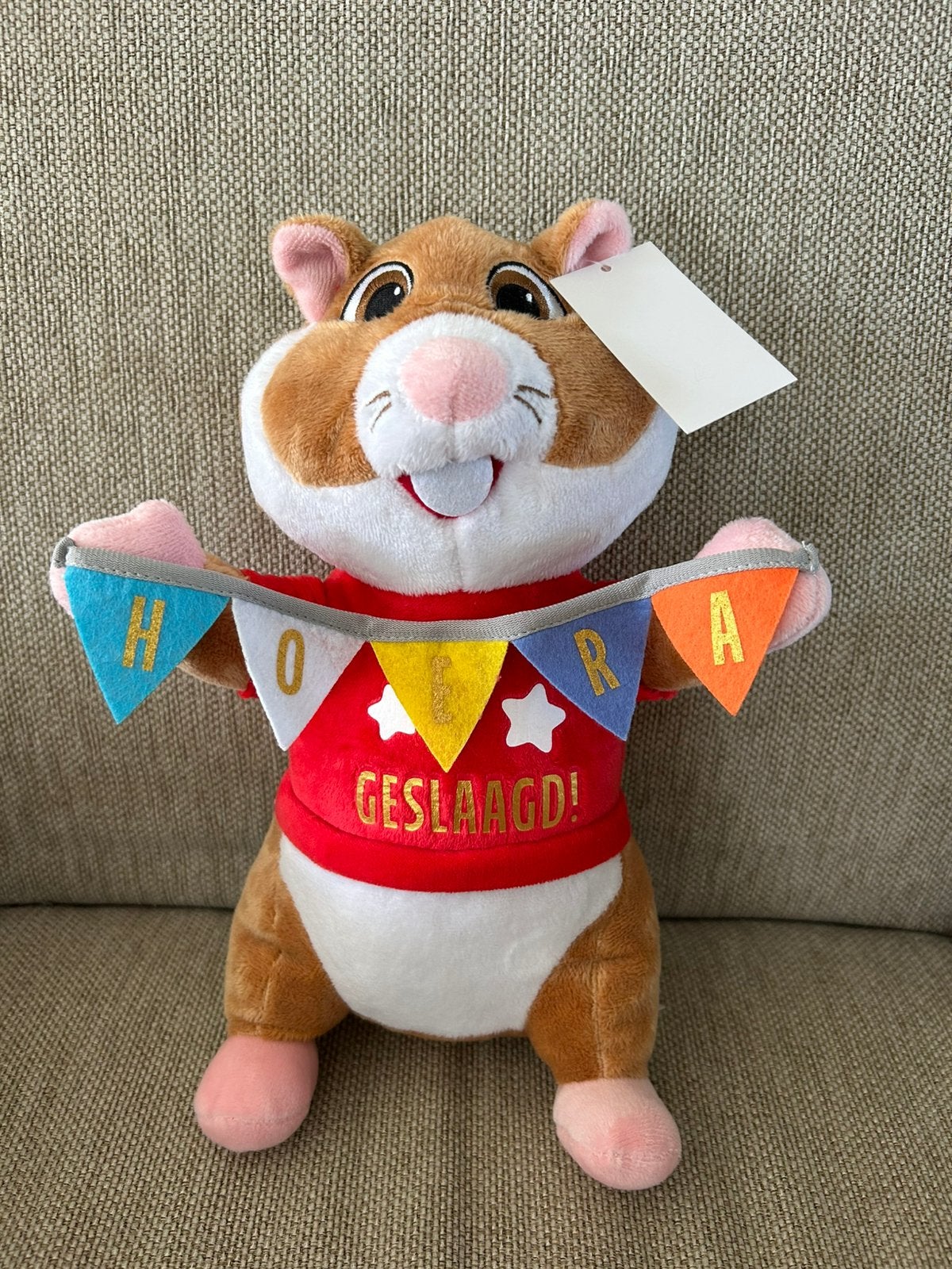 Geslaagd hamster Albert Heijn/ AH, Albert Heijn, Overige typen, Nieuw, Ophalen of Verzenden