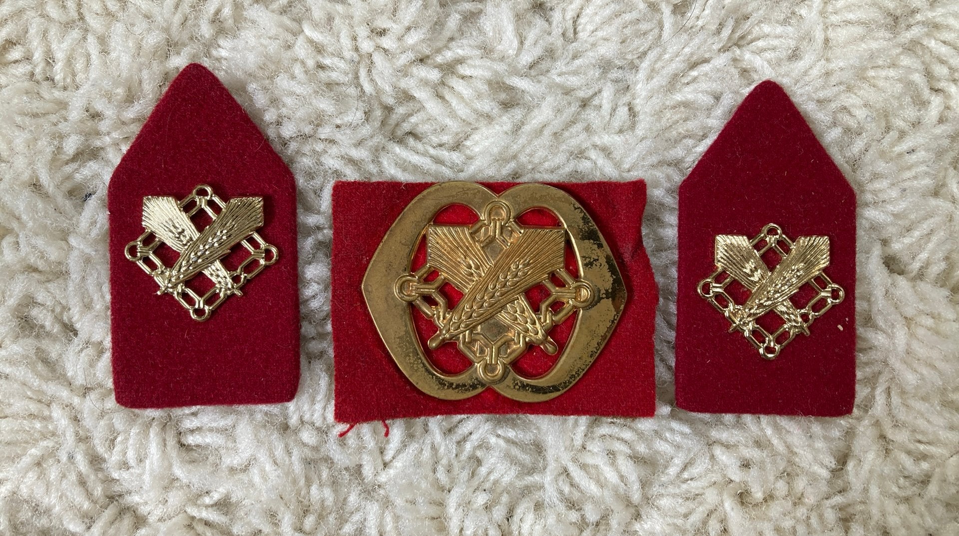 Intendance Staf, Ophalen of Verzenden, Landmacht, Nederland, Embleem of Badge