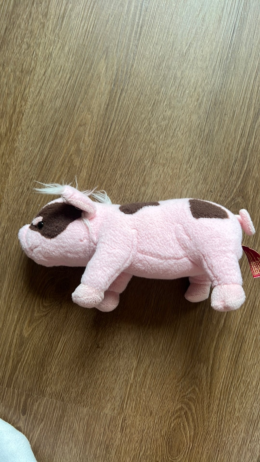 Knuffel varken, Ophalen of Verzenden, Gebruikt, Overige typen