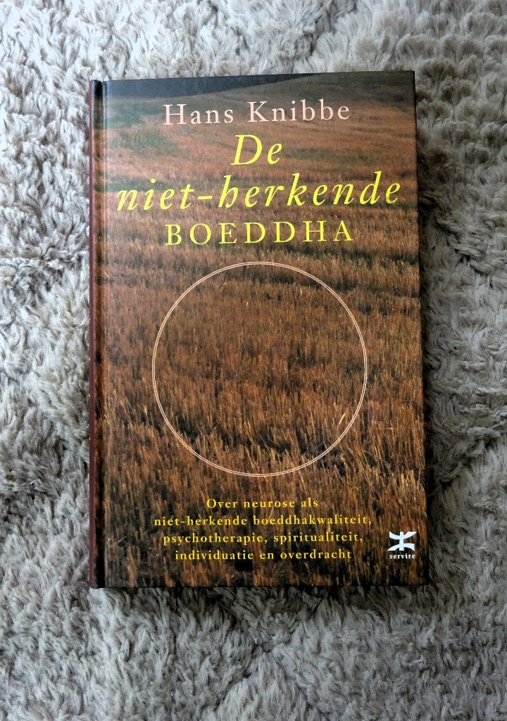 De niet-herkende boeddha - Hester Knibbe, Boeken, Verzenden, Gelezen, Overige onderwerpen, Achtergrond en Informatie