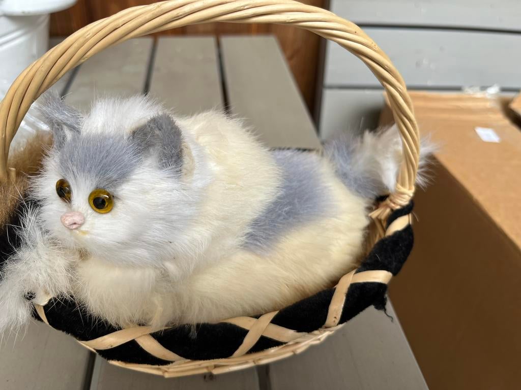 Poes in mandje, Ophalen of Verzenden