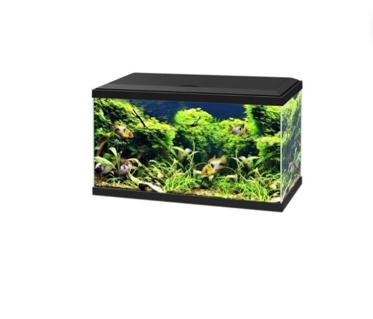 Zwarte Aquarium, Overige typen