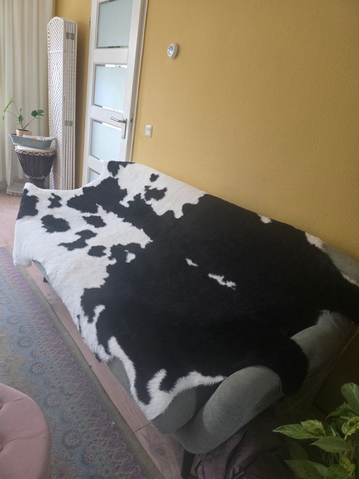 Koeienvel vegan, Huizen en Kamers, Kamers te huur