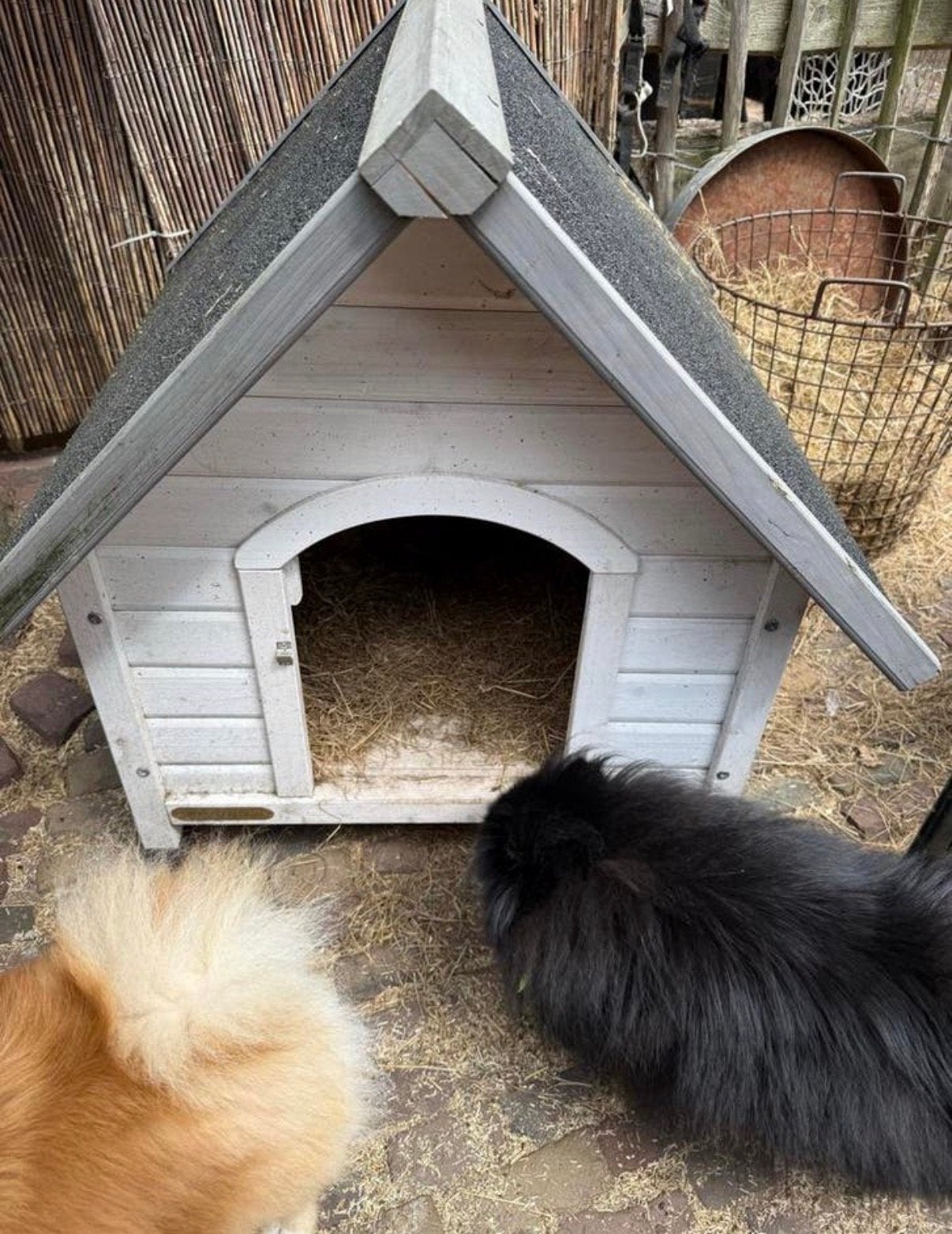 Hondenhuisje, Dieren en Toebehoren, Hondenhokken, Ophalen of Verzenden, 110 cm of meer, Minder dan 65 cm