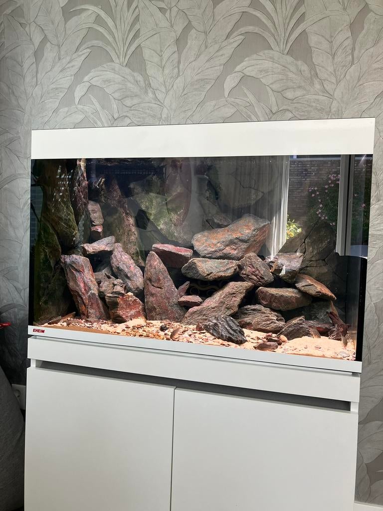 Eheim incpiria 330 Set Wit + Sump en Aquadecor Achterwand, Ophalen, Gebruikt, Leeg aquarium, Eheim