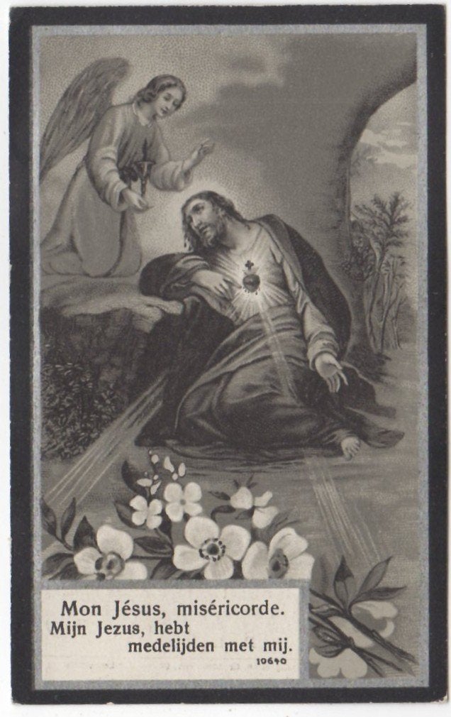 Ludovicus Vloeberghs 1850 Mortsel + 1915 Berchem (B), 64 jr, Ophalen of Verzenden