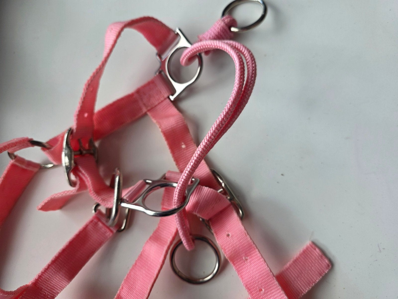 Pony halster roze, Dieren en Toebehoren, Paarden en Pony's | Overige Paardenspullen, Ophalen of Verzenden
