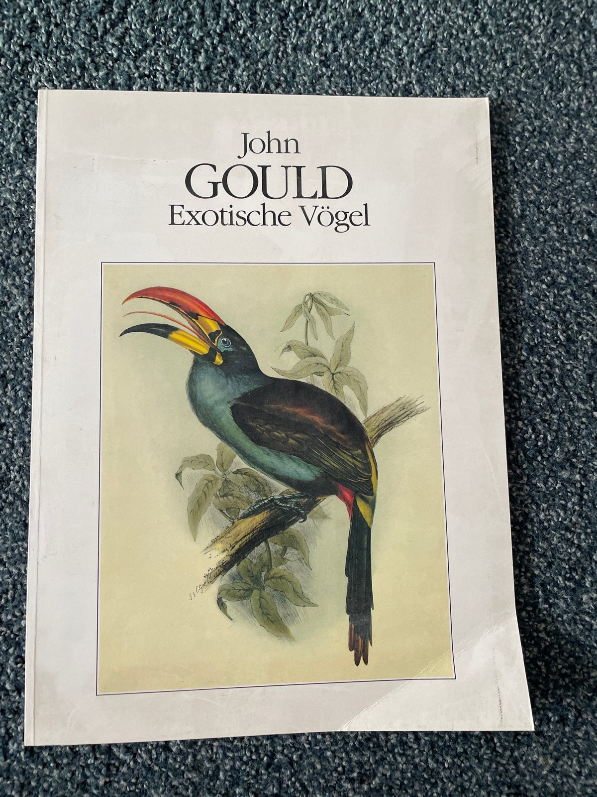 John Gould: Exotische Vögel - Prachtige vogelillustraties, Ophalen of Verzenden, Gelezen, Vogels