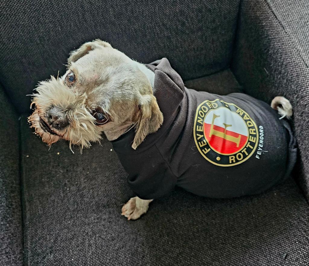 Hondenjasje Feyenoord xl, Ophalen of Verzenden, Hondenjas
