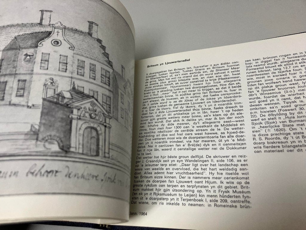 Alde doarpsgesichten 2, Ophalen of Verzenden, Gelezen