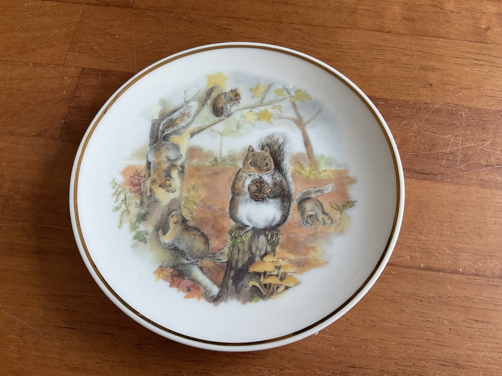 Decoratief bordje 'Wildlife of Britain: Squirrels', Antiek en Kunst, Ophalen of Verzenden