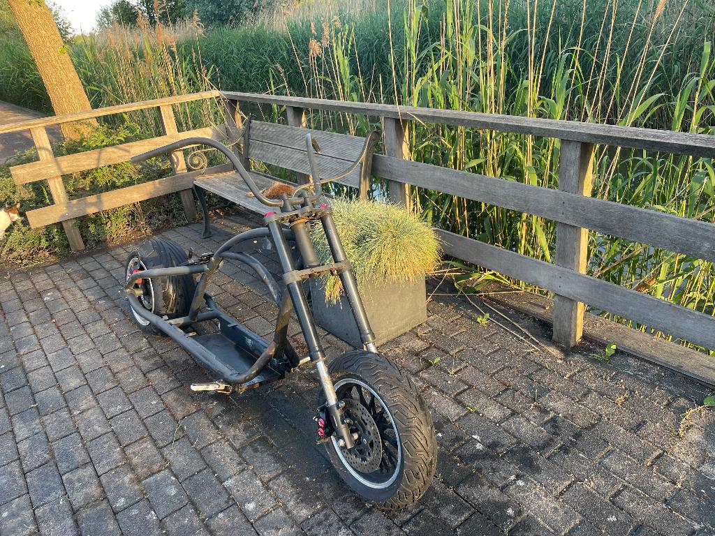 Chopper frame, Ophalen, Gebruikt, Maximaal 45 km/u, Elektrisch