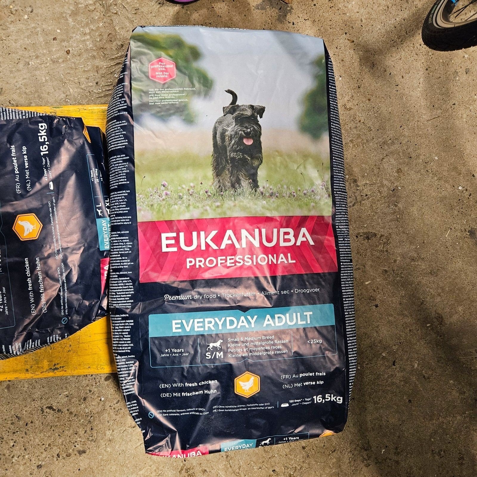 Eukanuba everyday adult hondenbrokken 16.5kg, Ophalen of Verzenden, Hond