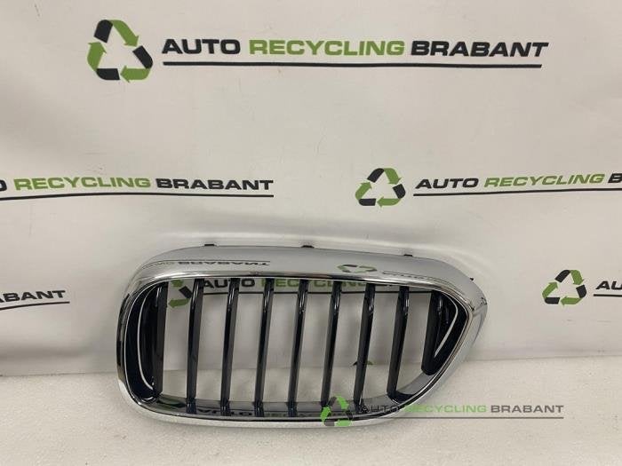 Grille van een BMW 5-Serie, Gebruikt, -, -, Ophalen of Verzenden