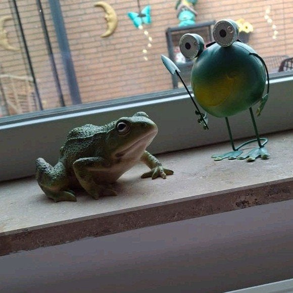 Leuke verzameling van decoratieve kikkers, Ophalen, Zo goed als nieuw
