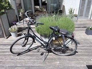 Uitstekend onderhouden Batavus fiets, Fietsen en Brommers, Fietsen | Dames | Damesfietsen, Ophalen, Gebruikt, Batavus, Versnellingen