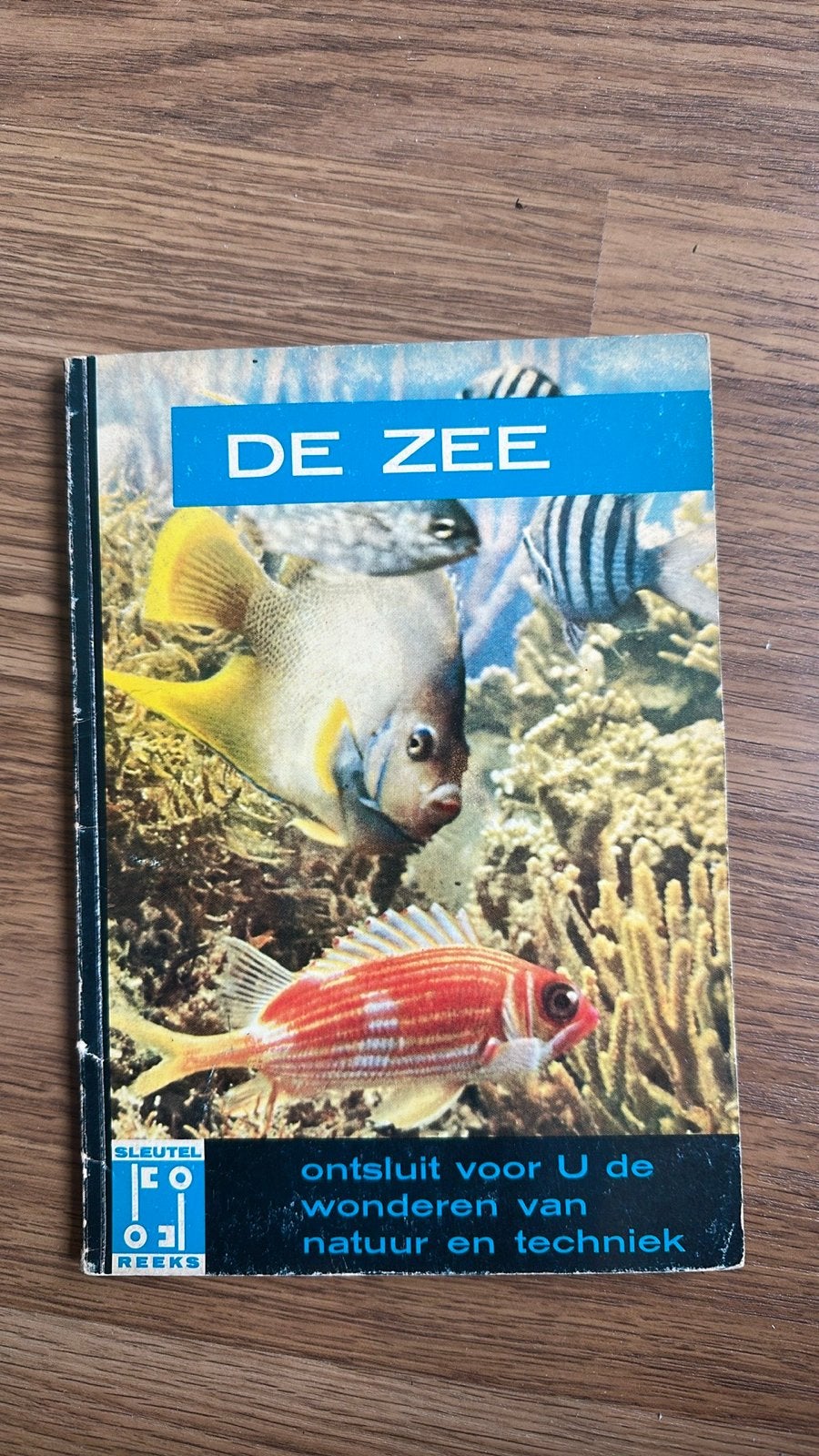 De Zee - Sleutel Reeks: Ontdek de wonderen van de natuur, Boeken, Ophalen of Verzenden, Gelezen, Natuur algemeen