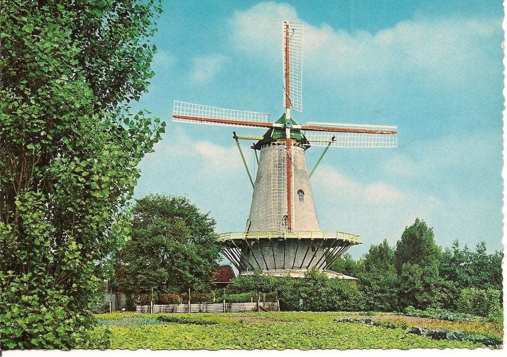 Ansichtkaart Korenmolen 'de Graanhalm' Burgh-Haamstede, Ophalen of Verzenden, 1960 tot 1980, Ongelopen, Zeeland