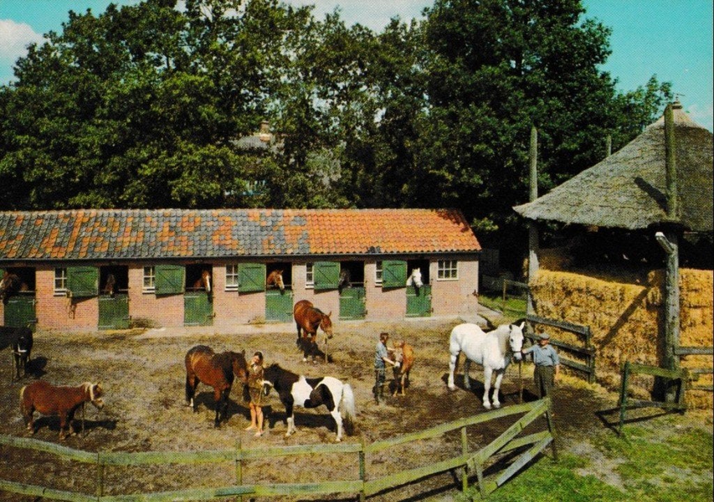 Soest             244, Ophalen of Verzenden, Voor 1920, Utrecht