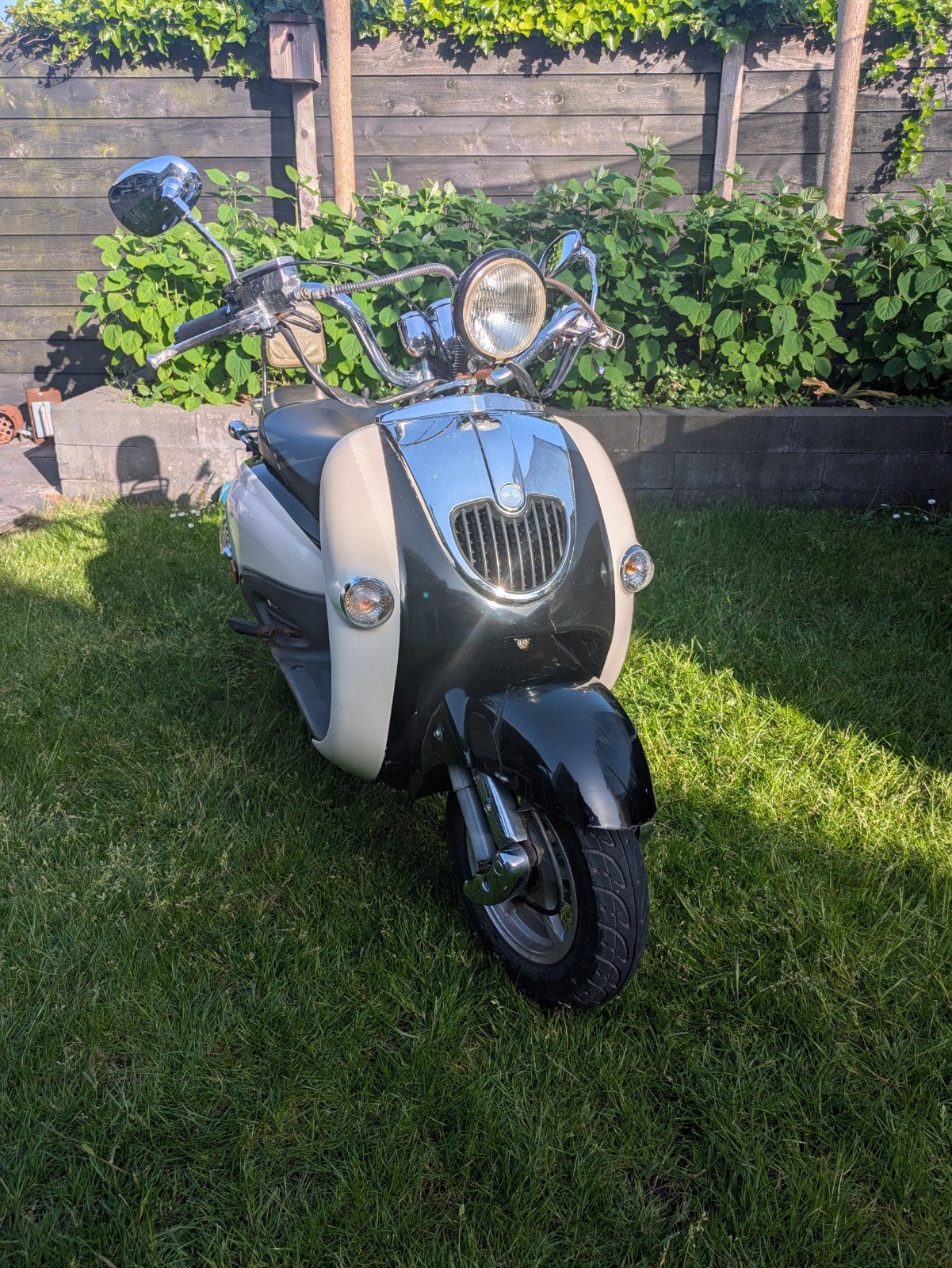 Znen Aurora scooter