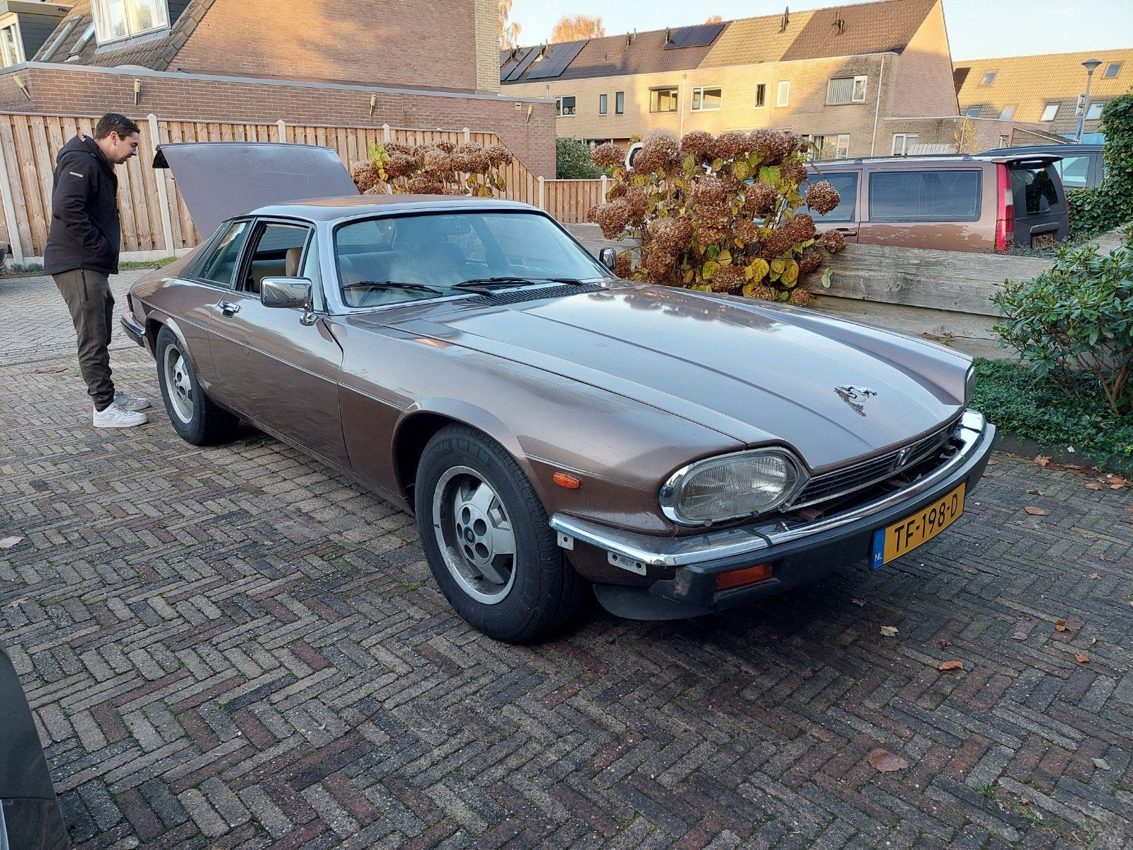 Gezocht onderdelen jaguar xjs, Ophalen of Verzenden, Voor, Jaguar, Spatbord