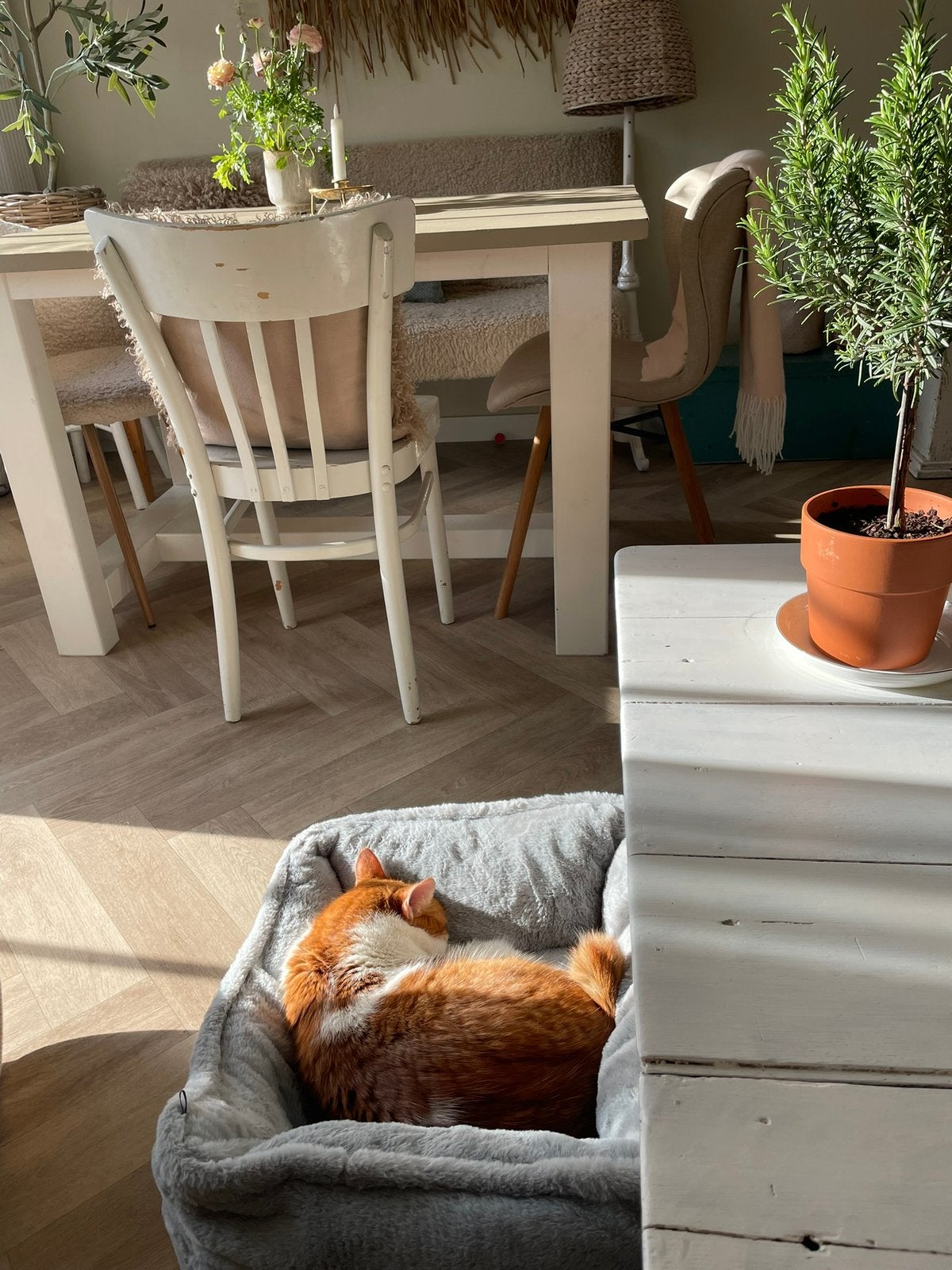 Brocante eettafel stoel, Huis en Inrichting, Ophalen, Wit, Brocante landelijk, Zo goed als nieuw