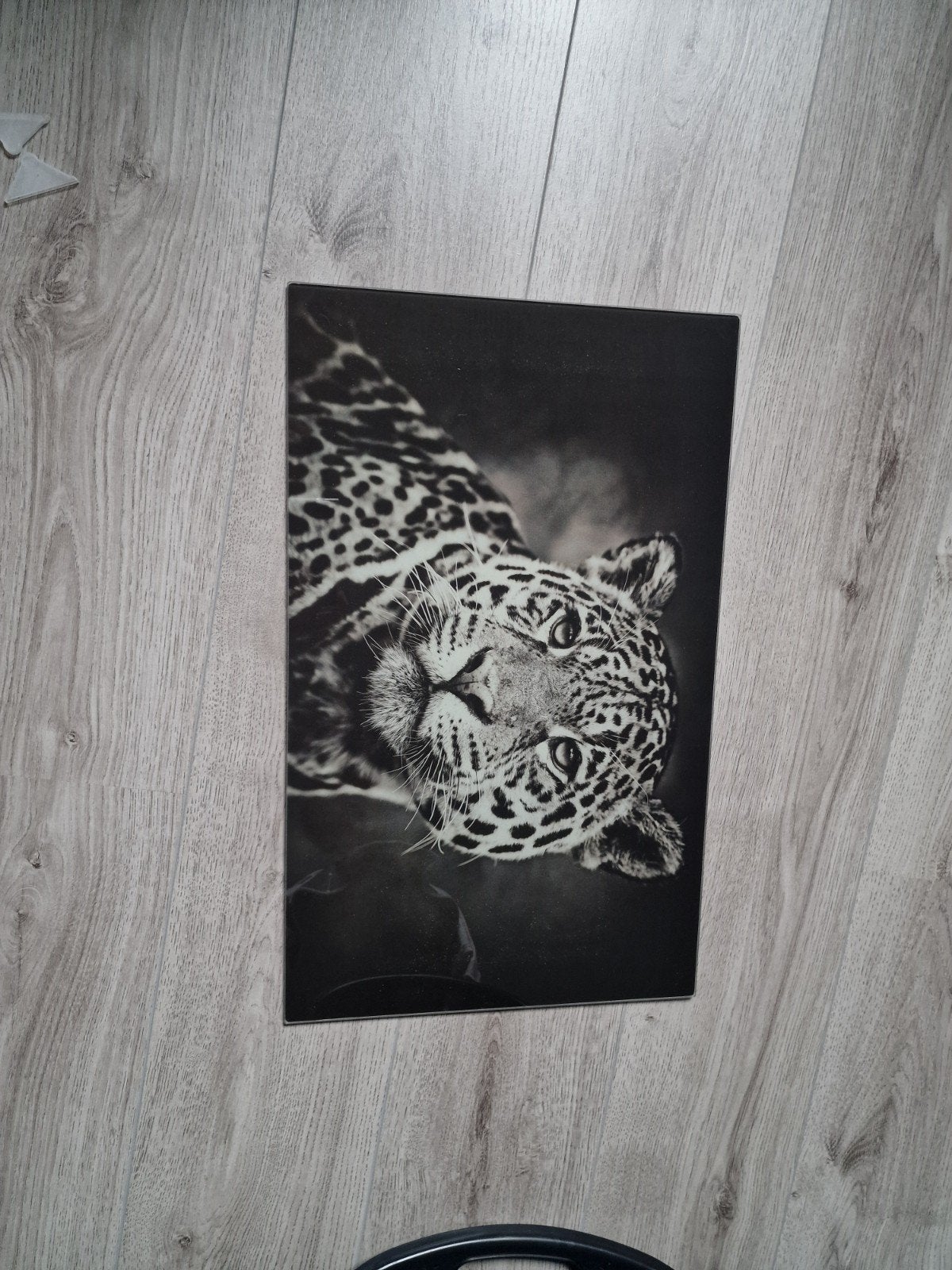 Nieuwe luipaard panter schilderij glas, Ophalen of Verzenden, Nieuw